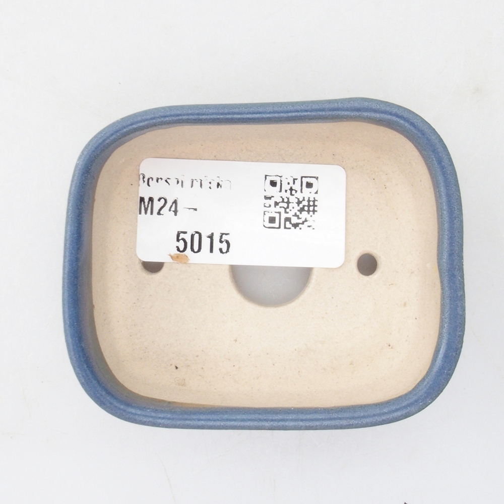 Mini bonsai 7 x 5,5 x 2 cm, colore blu