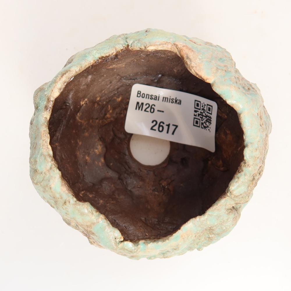 Guscio in ceramica  7 x 7 x 6 cm, colore verde