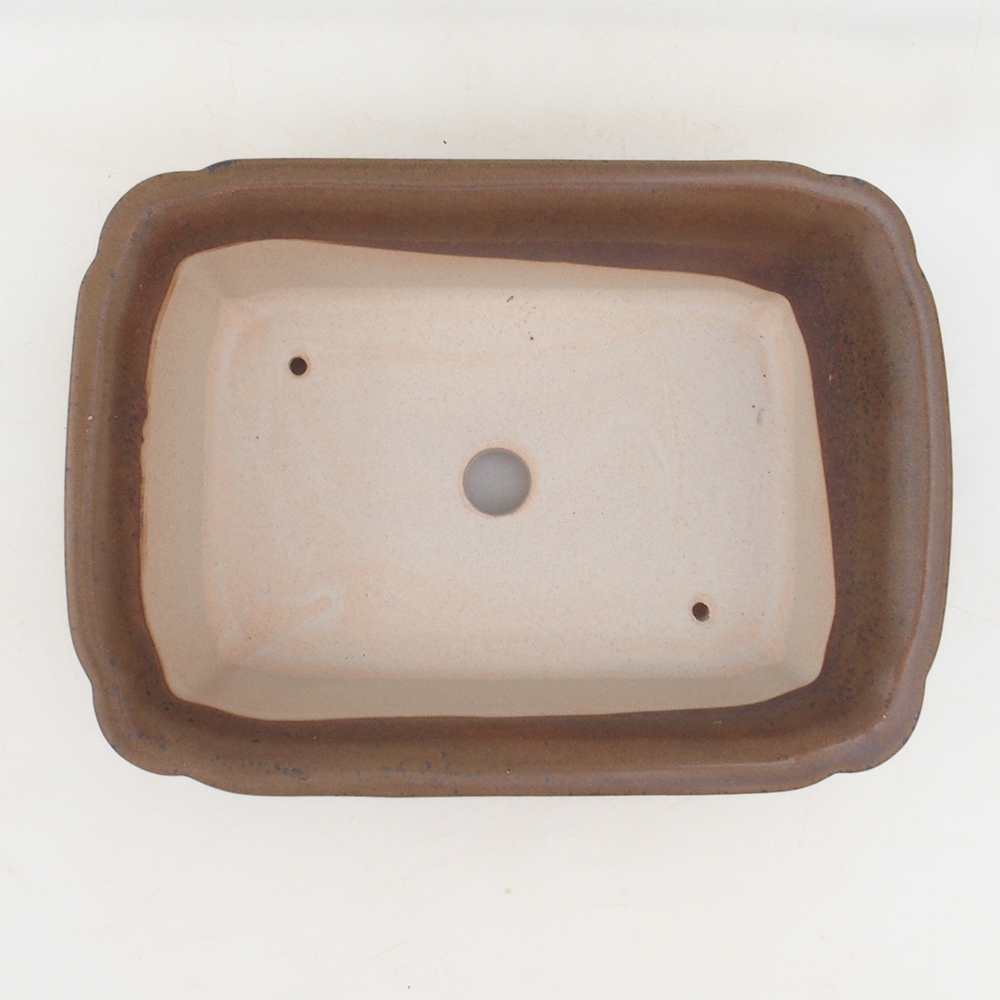 Ciotola per bonsai H50 - 17 x 12,5 x 5,5 cm - marrone