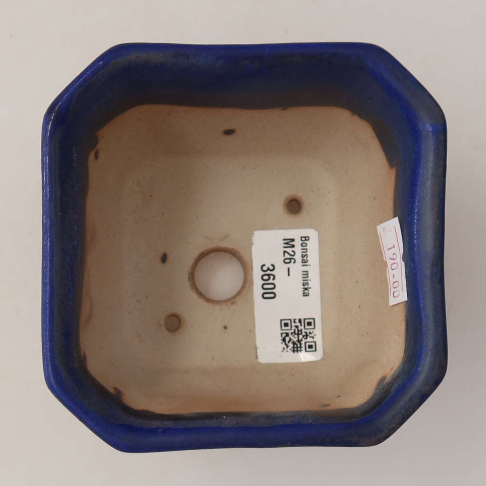 Vaso in ceramica per bonsai 10 x 10 x 6,5 cm, colore blu