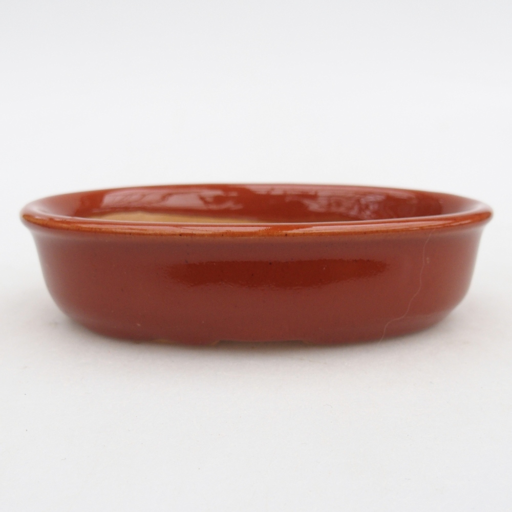 Ciotola bonsai in ceramica 26 x 26 x 8 cm, colore rosso