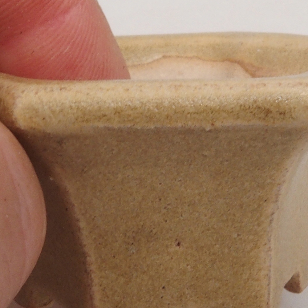 Mini bonsai 4,5 x 4,5 x 2,5 cm, marrone