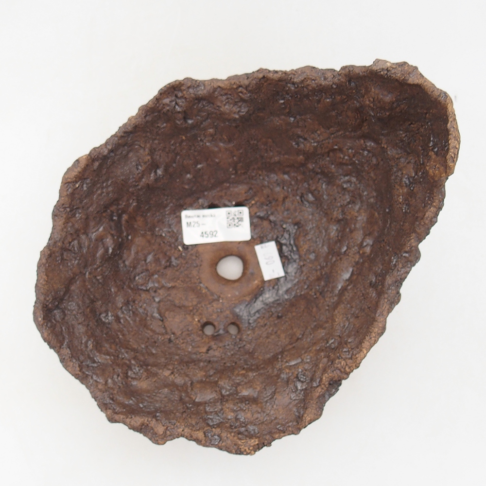 Conchiglia in ceramica 18 x 17,5 x 16 cm , colore marrone