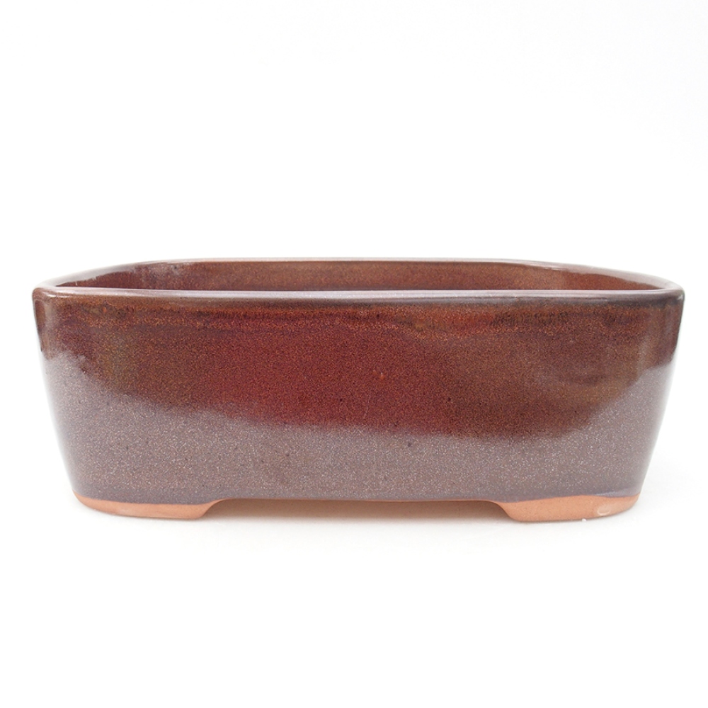 Ciotola per bonsai in ceramica 23 x 18 x 7,5 cm, marrone