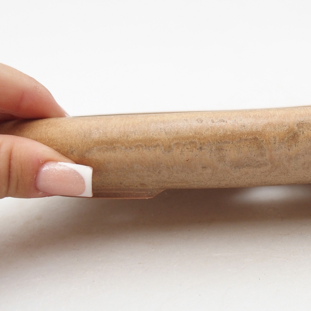 Ciotola per bonsai in ceramica 22,5 x 16,5 x 3 cm, colore beige