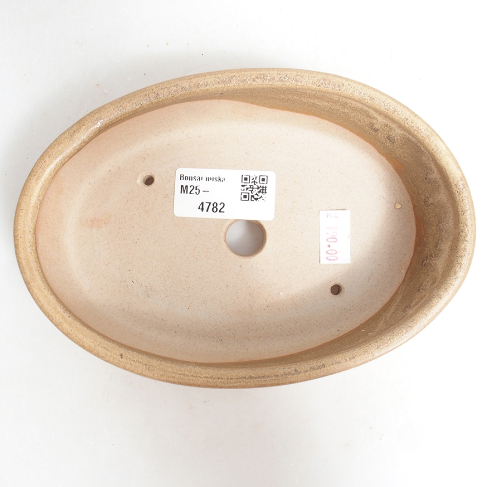 Ciotola per bonsai in ceramica 16,5 x 11 x 4 cm, colore beige