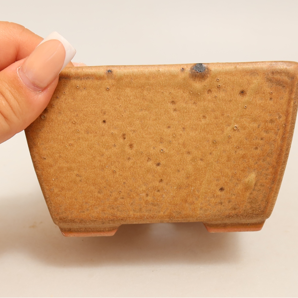 Vaso da bonsai in ceramica 10,5 x 10,5 x 6,5 cm, colore beige