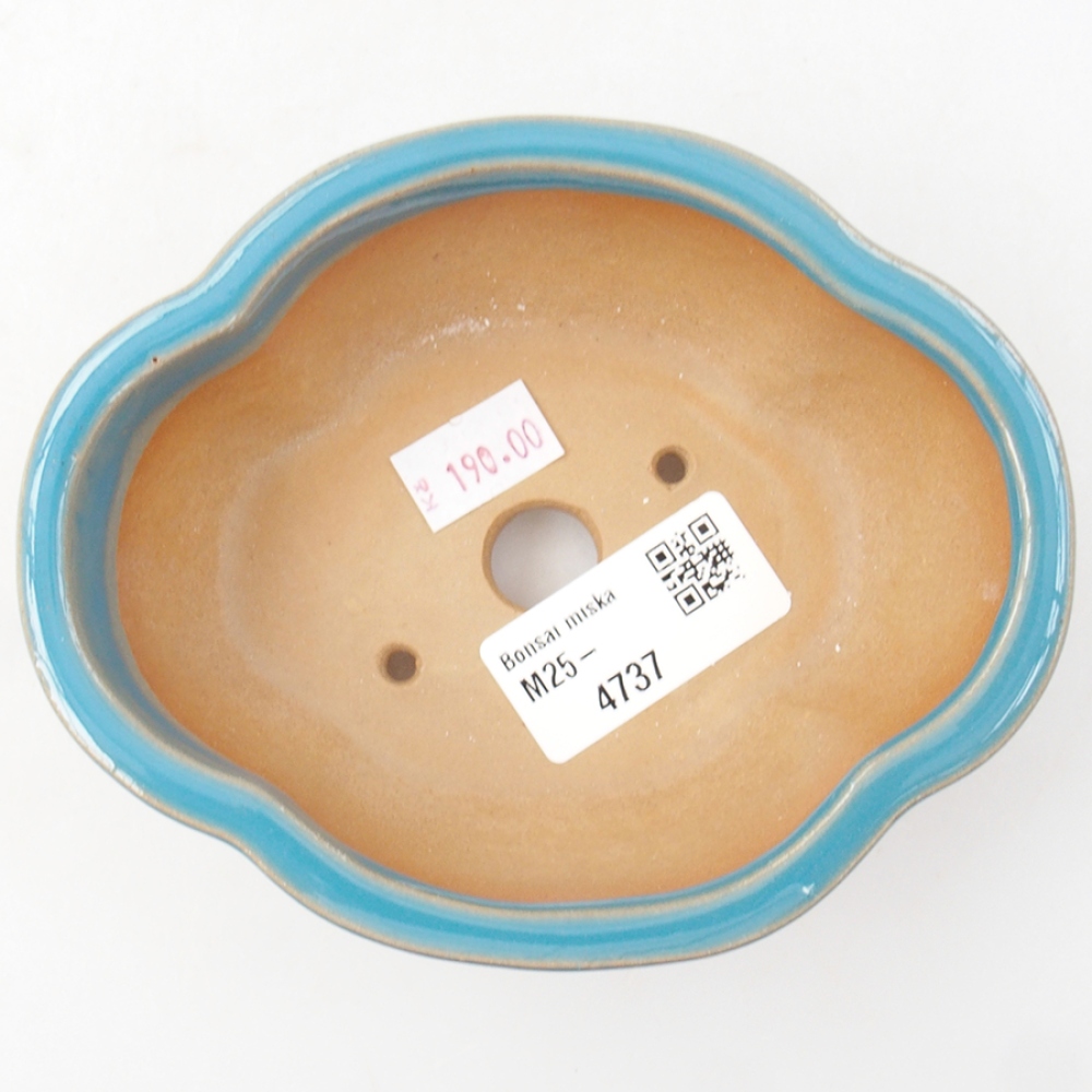 Ciotola bonsai in ceramica 12,5 x 10 x 4,5 cm, colore blu