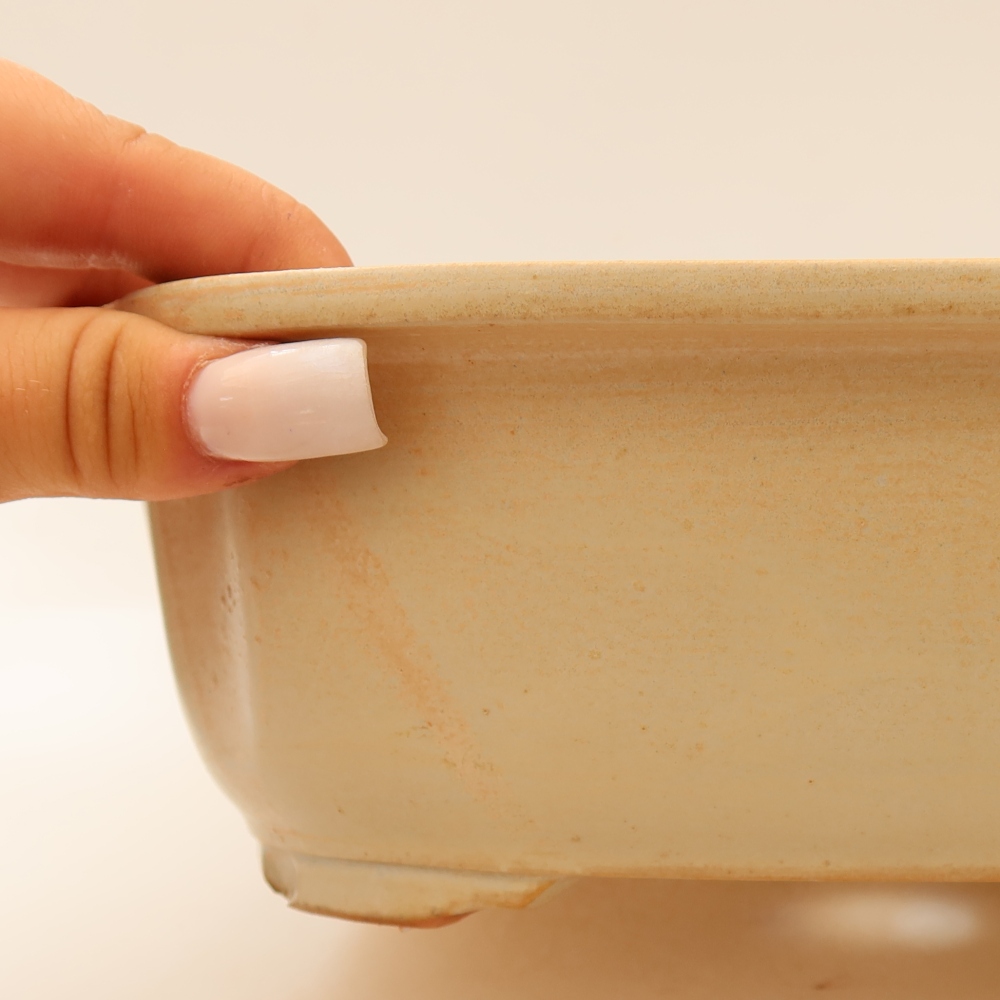 Vaso da bonsai in ceramica 24,5 x 21 x 7,5 cm, colore beige