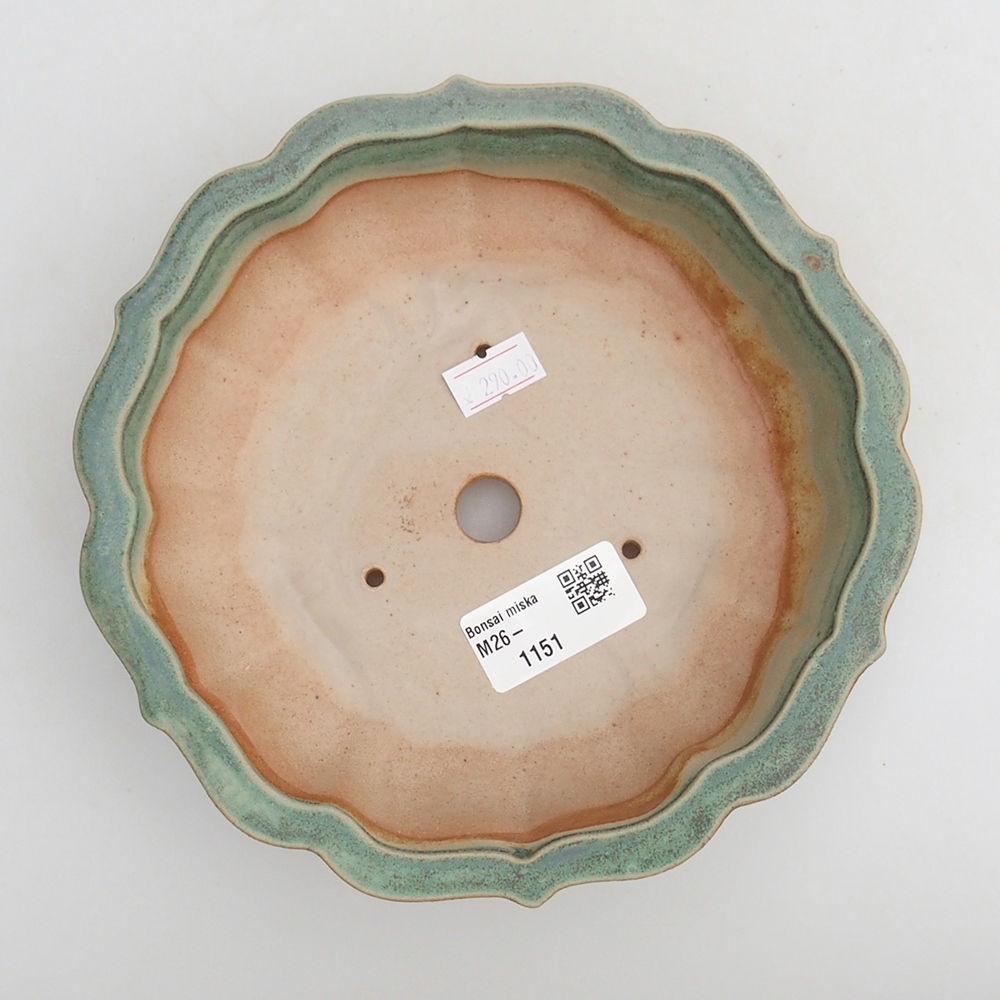 Ciotola per bonsai in ceramica 18 x 18 x 4,5 cm, verde