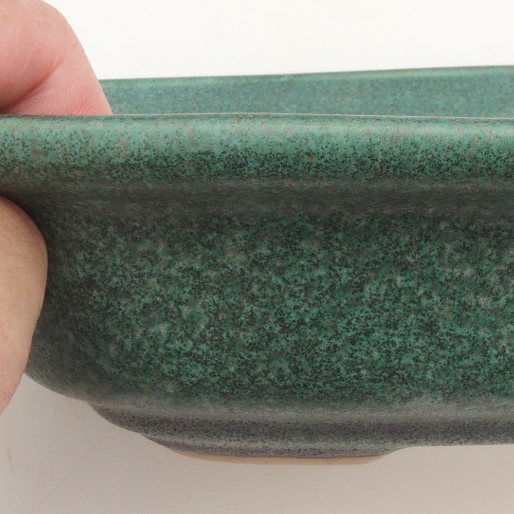 Ciotola per bonsai H25 - 23 x 17 x 5,5 cm - verde