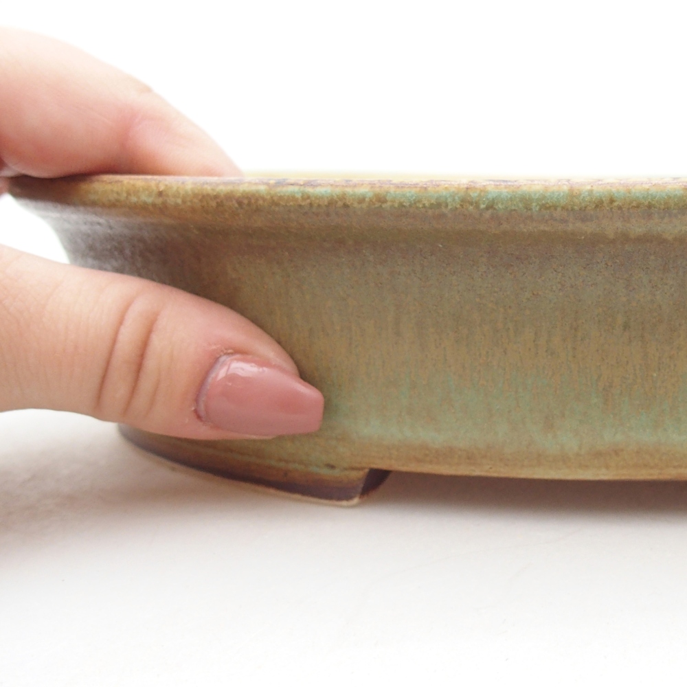 Ciotola bonsai in ceramica 24 x 21 x 5 cm, verde