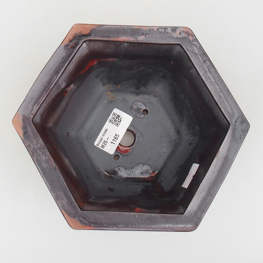 Ciotola bonsai in ceramica 18 x 16 x 9 cm, colore nero rosso