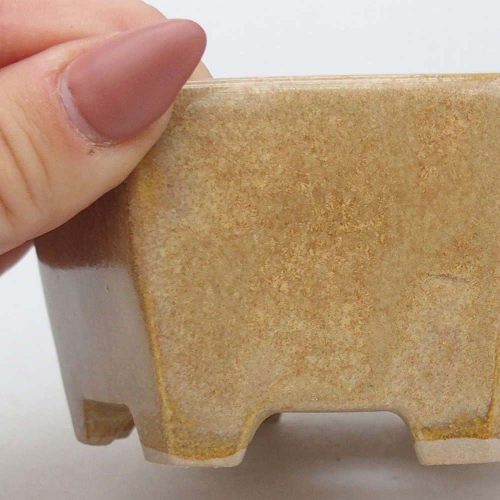 Ciotola per bonsai in ceramica 10,5 x 9,5 x 5 cm, colore beige