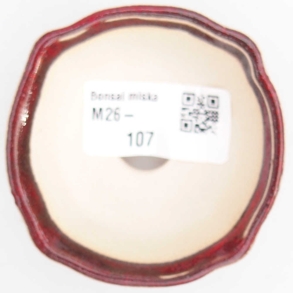 Mini bonsai 6,5 x 6,5 x 3 cm, colore rosso