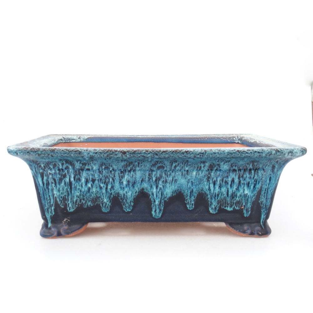 Ciotola 31,5 x 21,5 x 10,5 cm colore blu