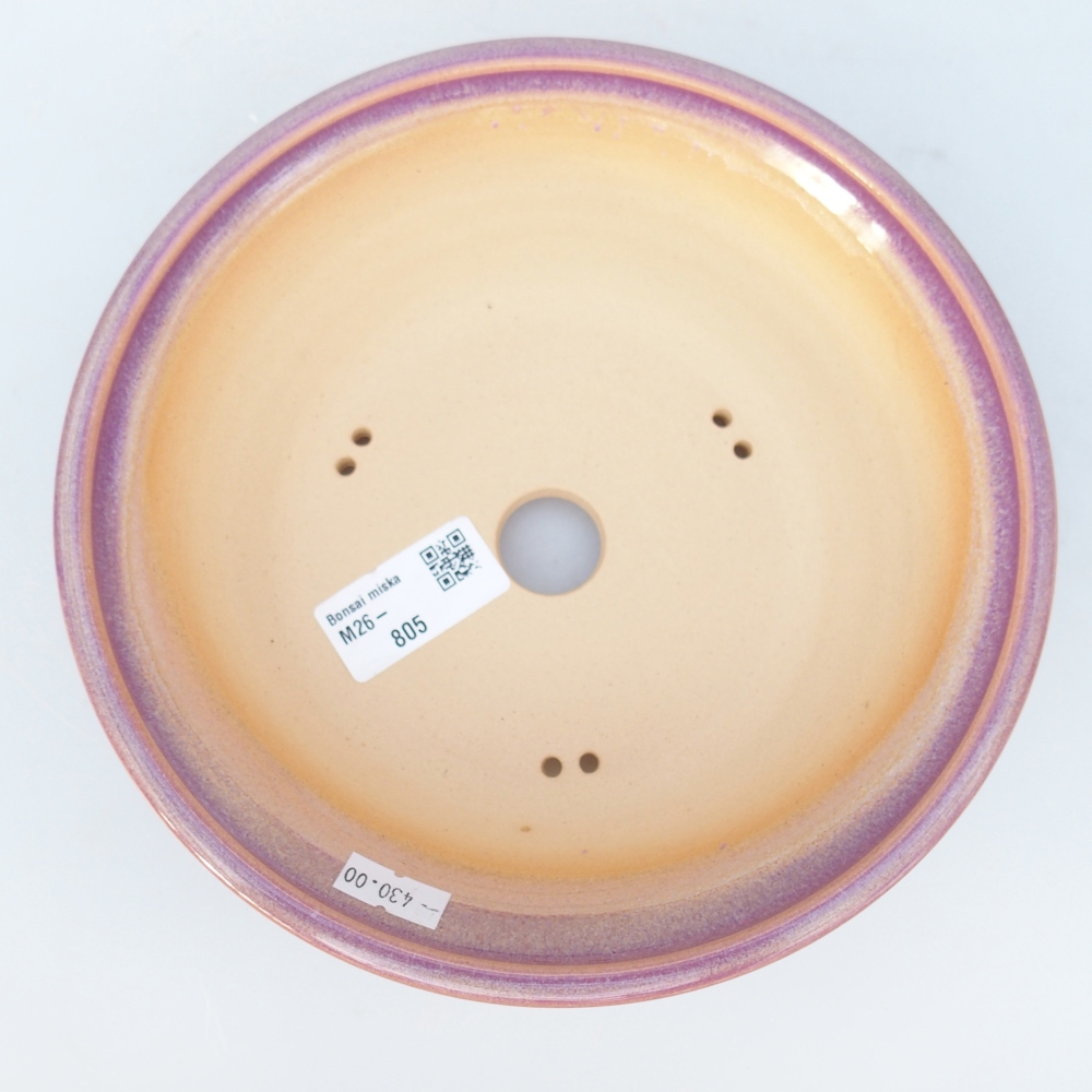 Ciotola per bonsai in ceramica 19,5 x 19,5 x 5,5 cm, colore viola