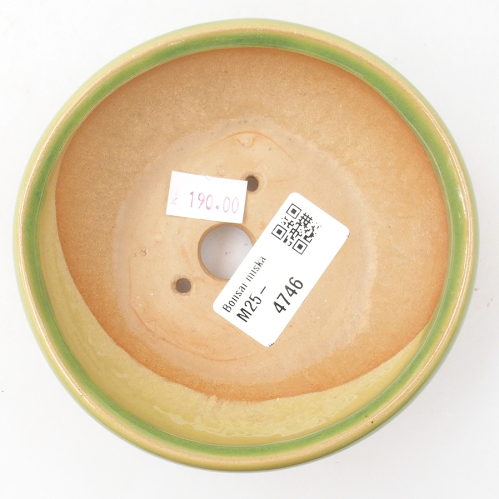 Ciotola bonsai in ceramica 11 x 11 x 5 cm, verde