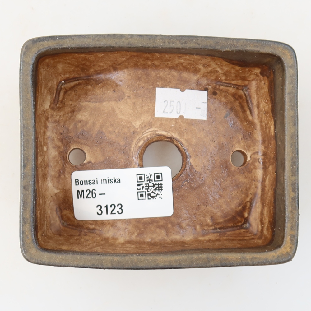 Ciotola per bonsai in ceramica 10 x 8 x 4 cm, marrone