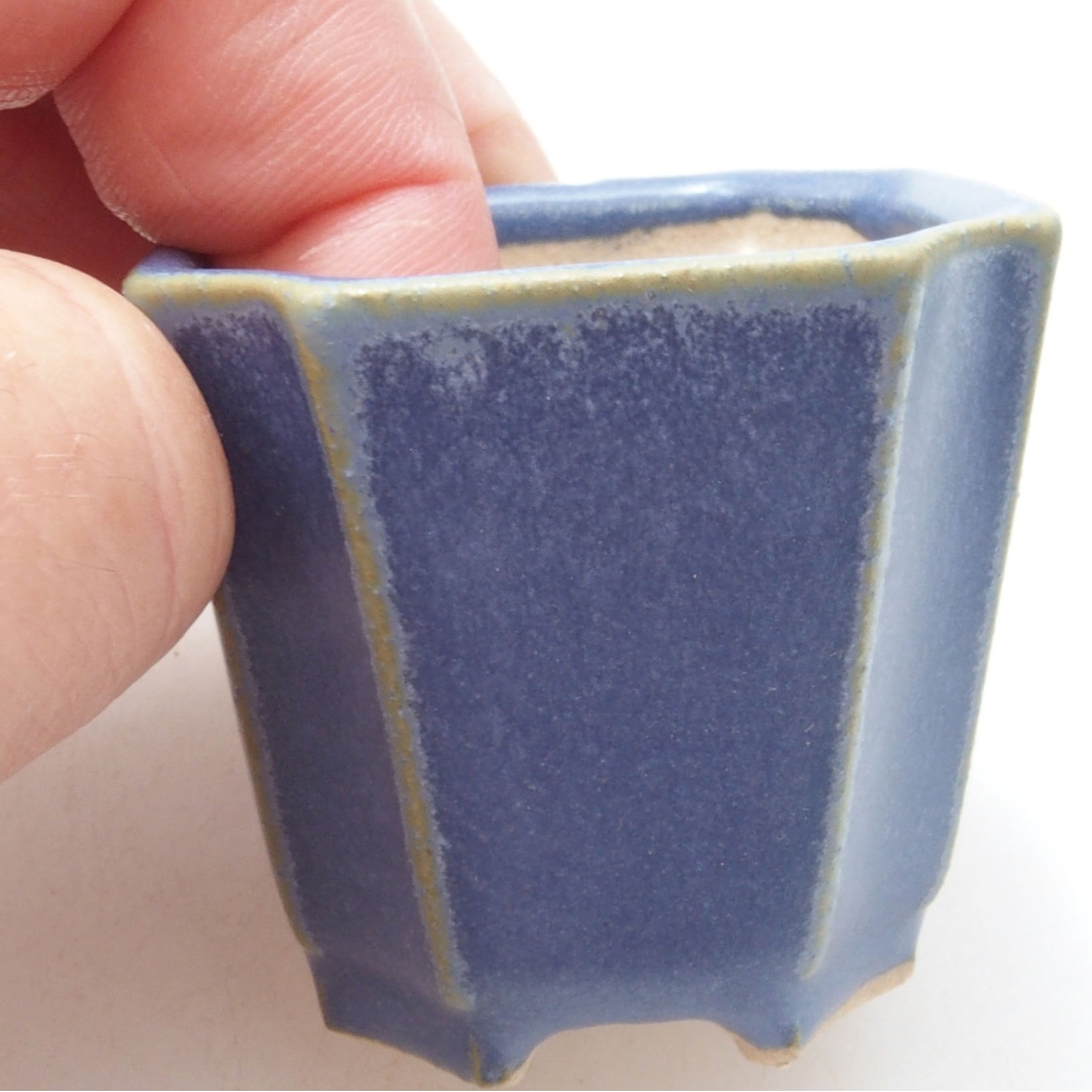 Mini bonsai 4 x 4 x 4 cm, colore blu