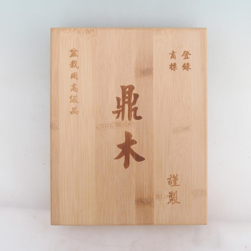 Scalpelli in scatola di bambù - 5 pezzi