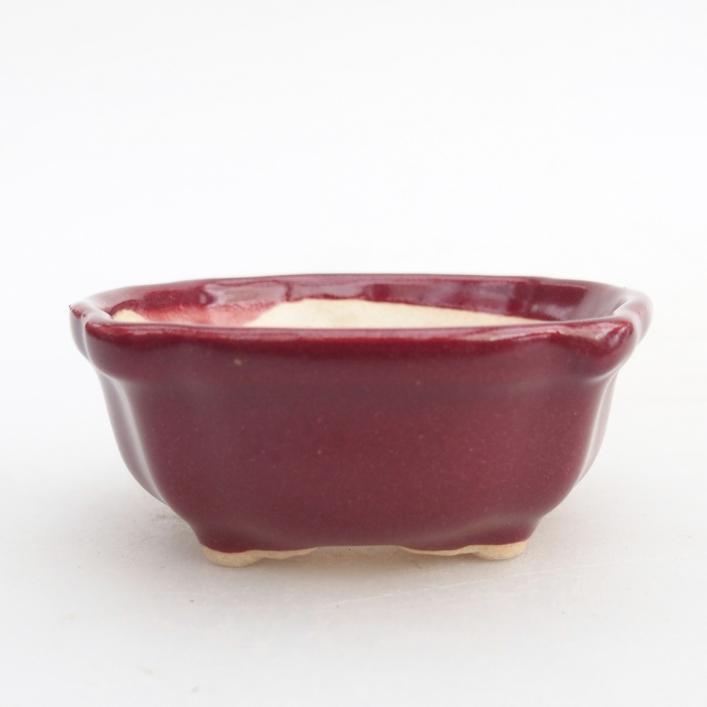 Ciotola per mini bonsai 6,5 x 6,5 x 3 cm, bordeaux