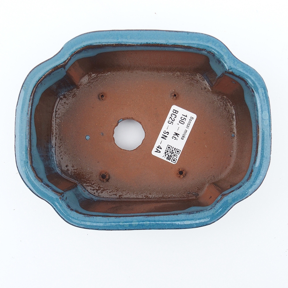 Ciotola 16 x 13 x 5,5 cm colore blu