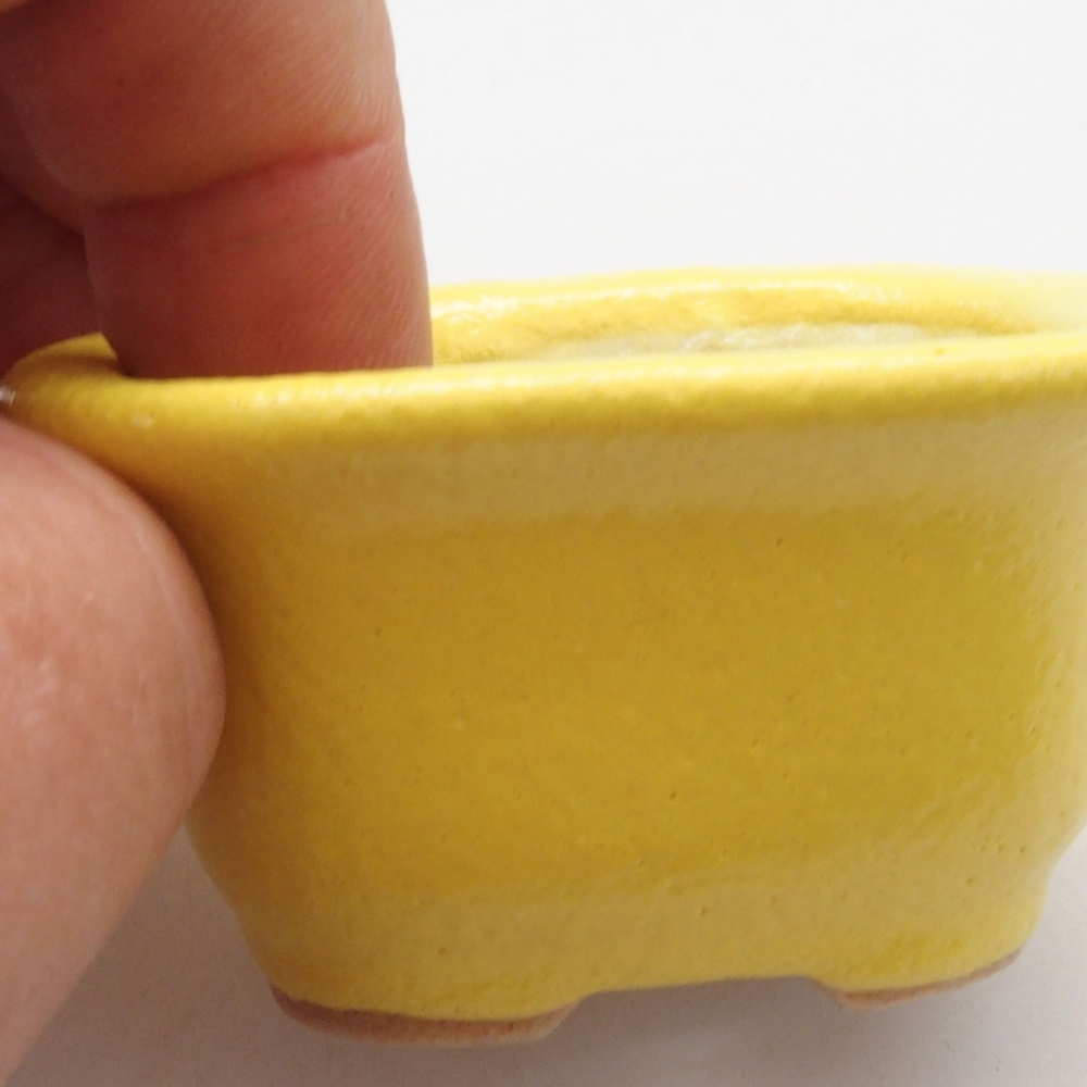 Ciotola bonsai in ceramica 5,5 x 4,5 x 3 cm, giallo
