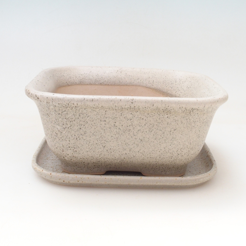 Ciotola bonsai + piattino H38 - 12x10x5,5 cm - beige