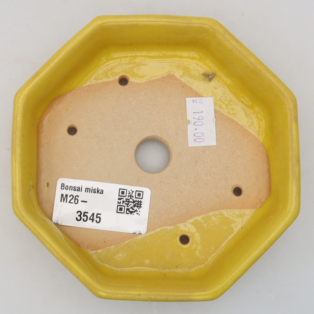 Vaso da bonsai in ceramica 11,5 x 11,5 x 2,5 cm, colore giallo