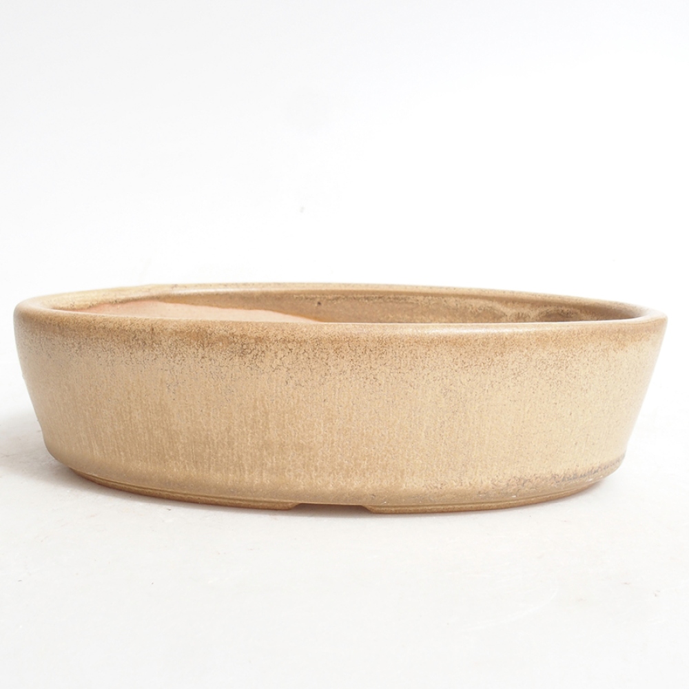 Ciotola per bonsai in ceramica 16,5 x 11 x 4 cm, colore beige
