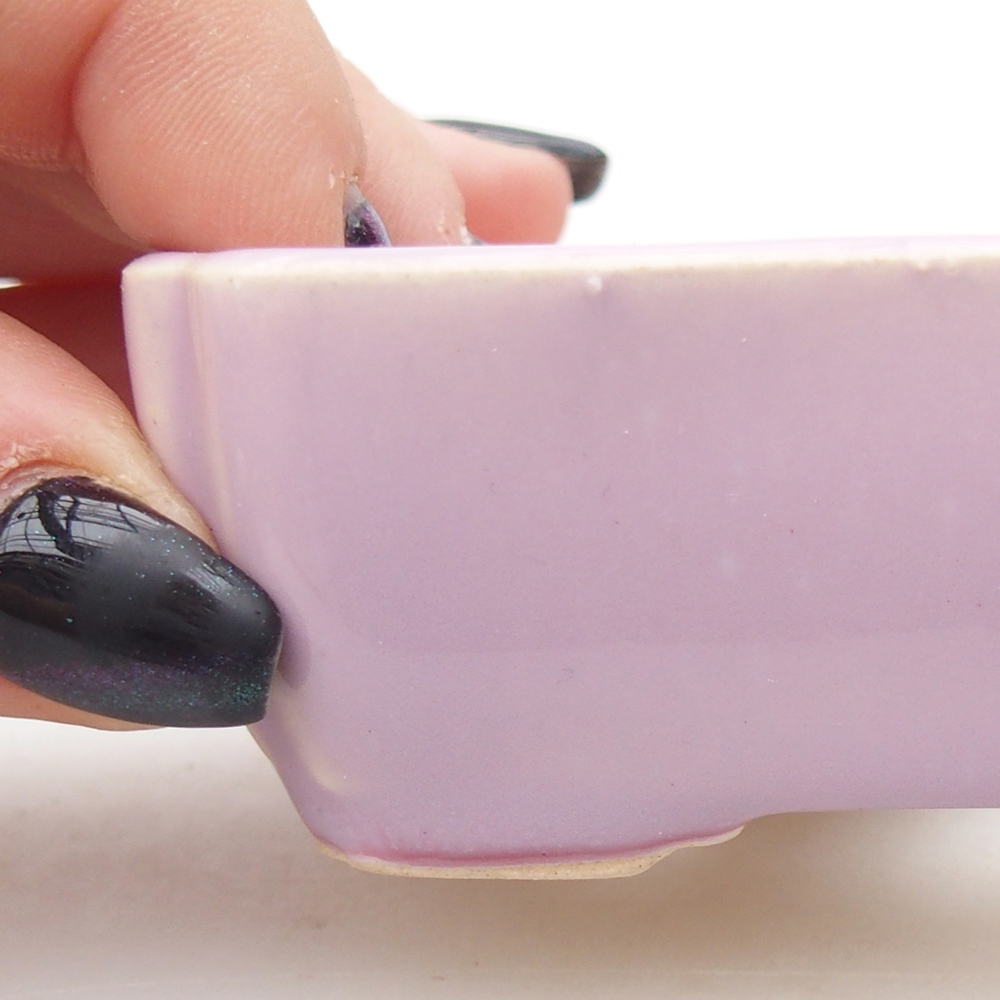 Mini bonsai 8,5 x 7,5 x 3 cm, rosa