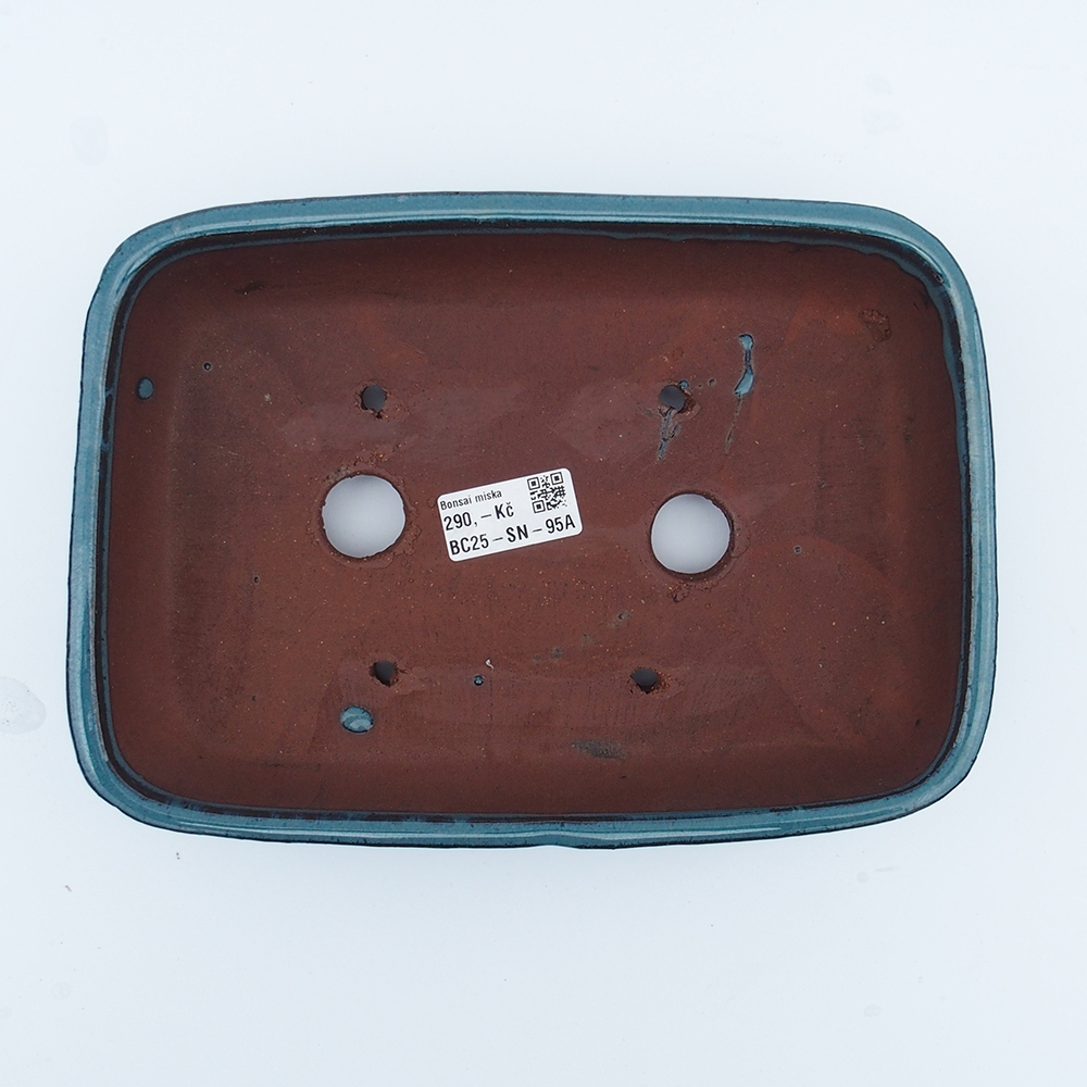 Ciotola 25 x 18 x 6 cm blu