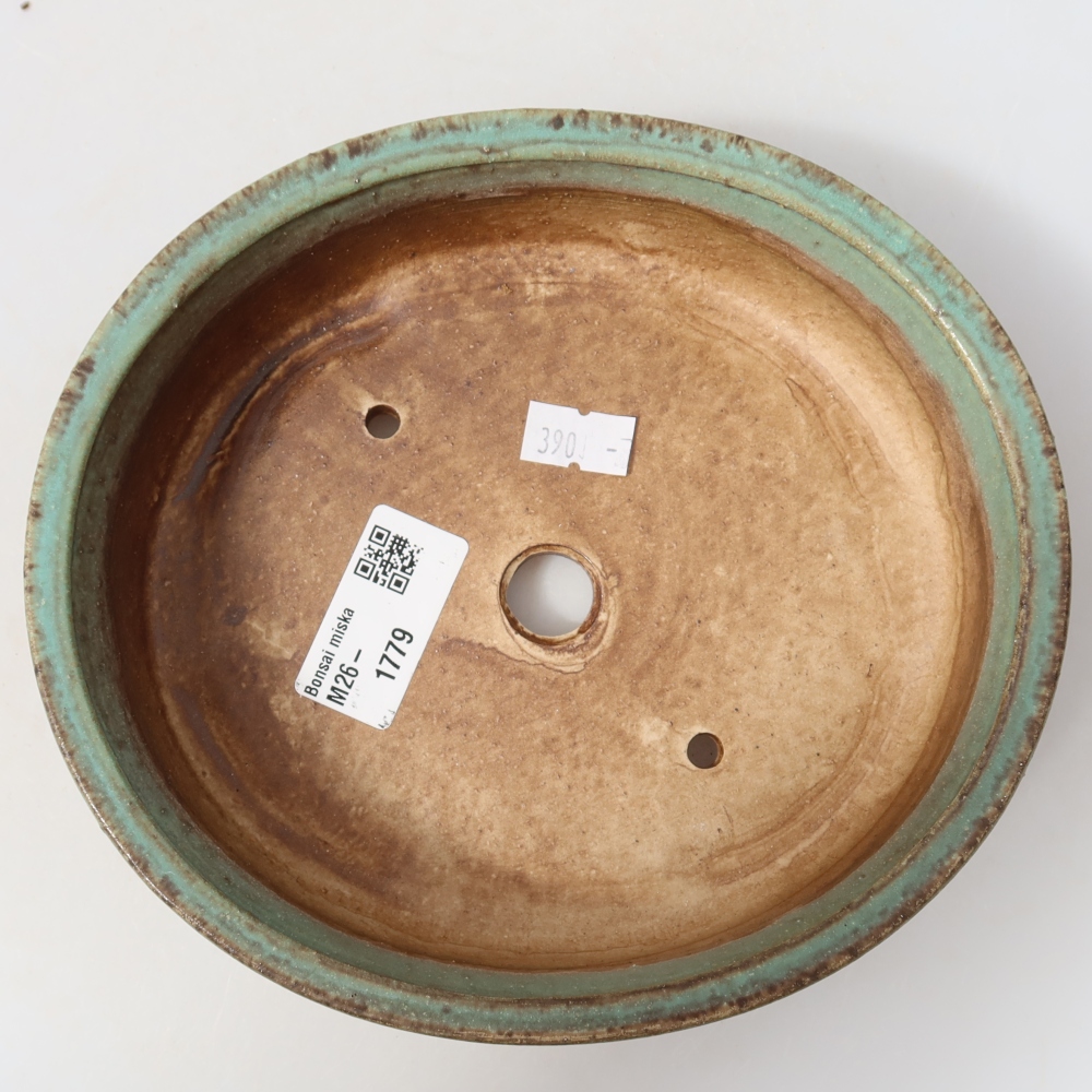 Vaso da bonsai in ceramica 18 x 16,5 x 4,5 cm, colore verde