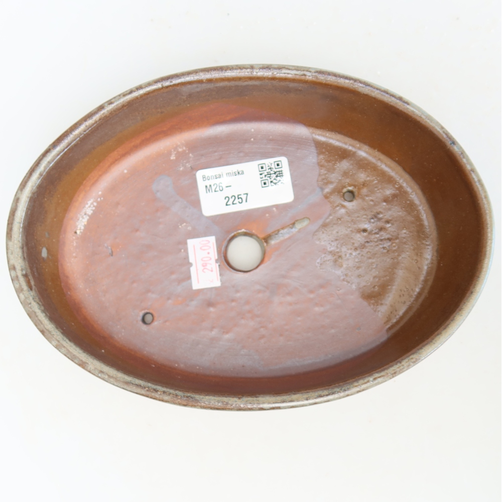 Ciotola per bonsai in ceramica 18,5 x 13,5 x 4,5 cm, marrone