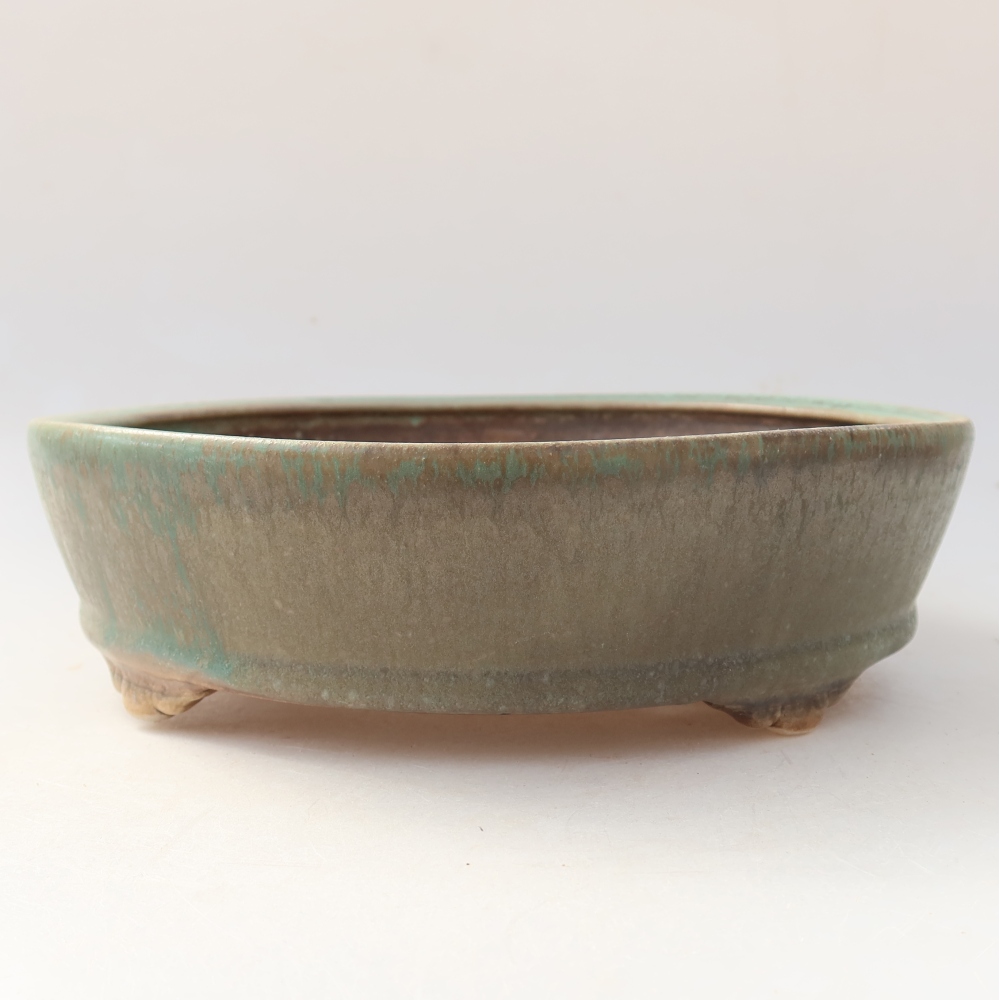 Ciotola per bonsai in ceramica 21,5 x 21,5 x 6 cm, verde