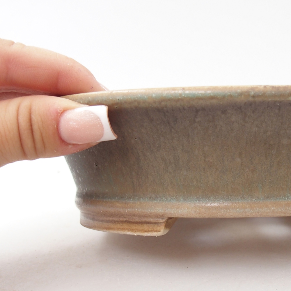 Ciotola per bonsai in ceramica 17,5 x 16 x 4,5 cm, annaffiata a colori