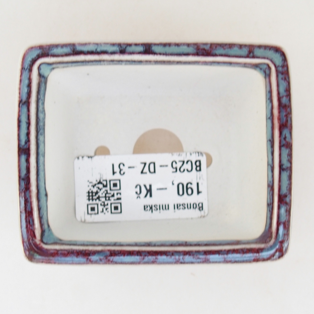 Mini bonsai 7,5 x 6 x 3 cm, bordeaux