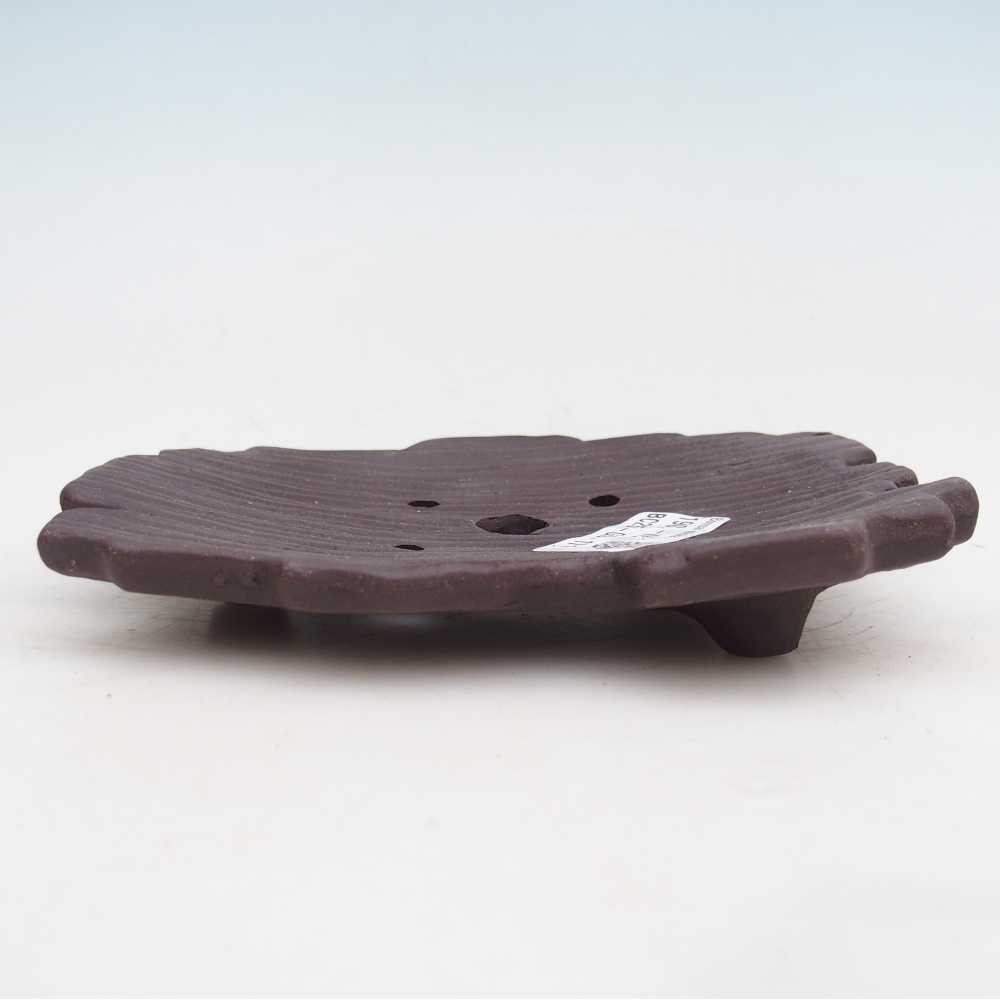 Conchiglia in ceramica 16 x 12 x 3 cm , colore marrone