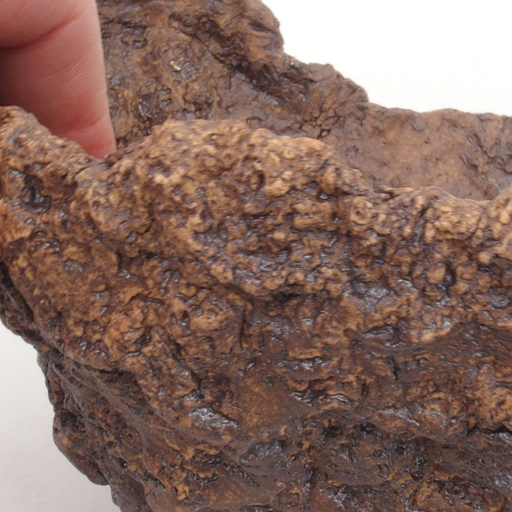 Conchiglia in ceramica 13,5 x 12 x 13,5 cm , colore marrone