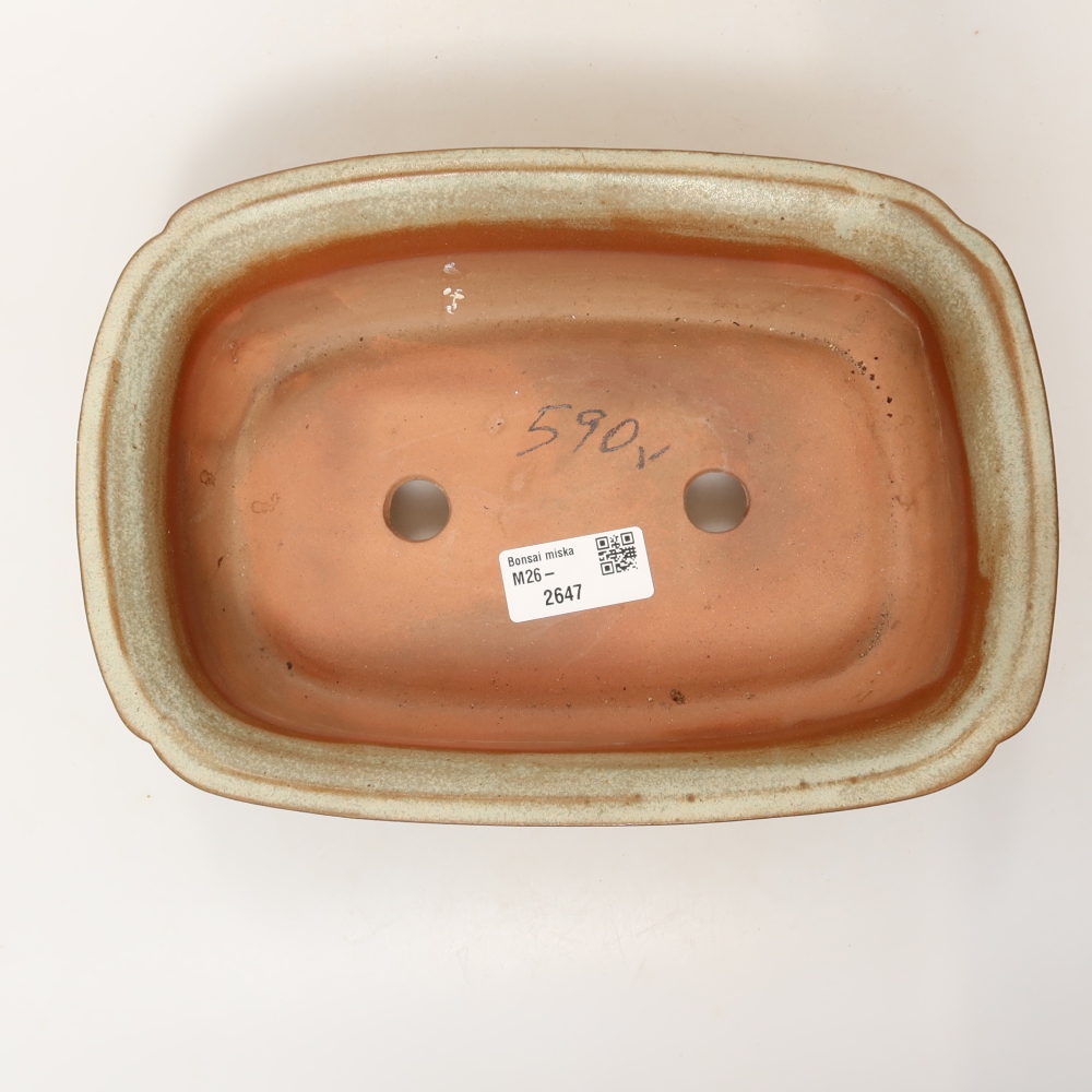Ciotola in ceramica  24,5 x 17,5 x 6 cm, colore beige