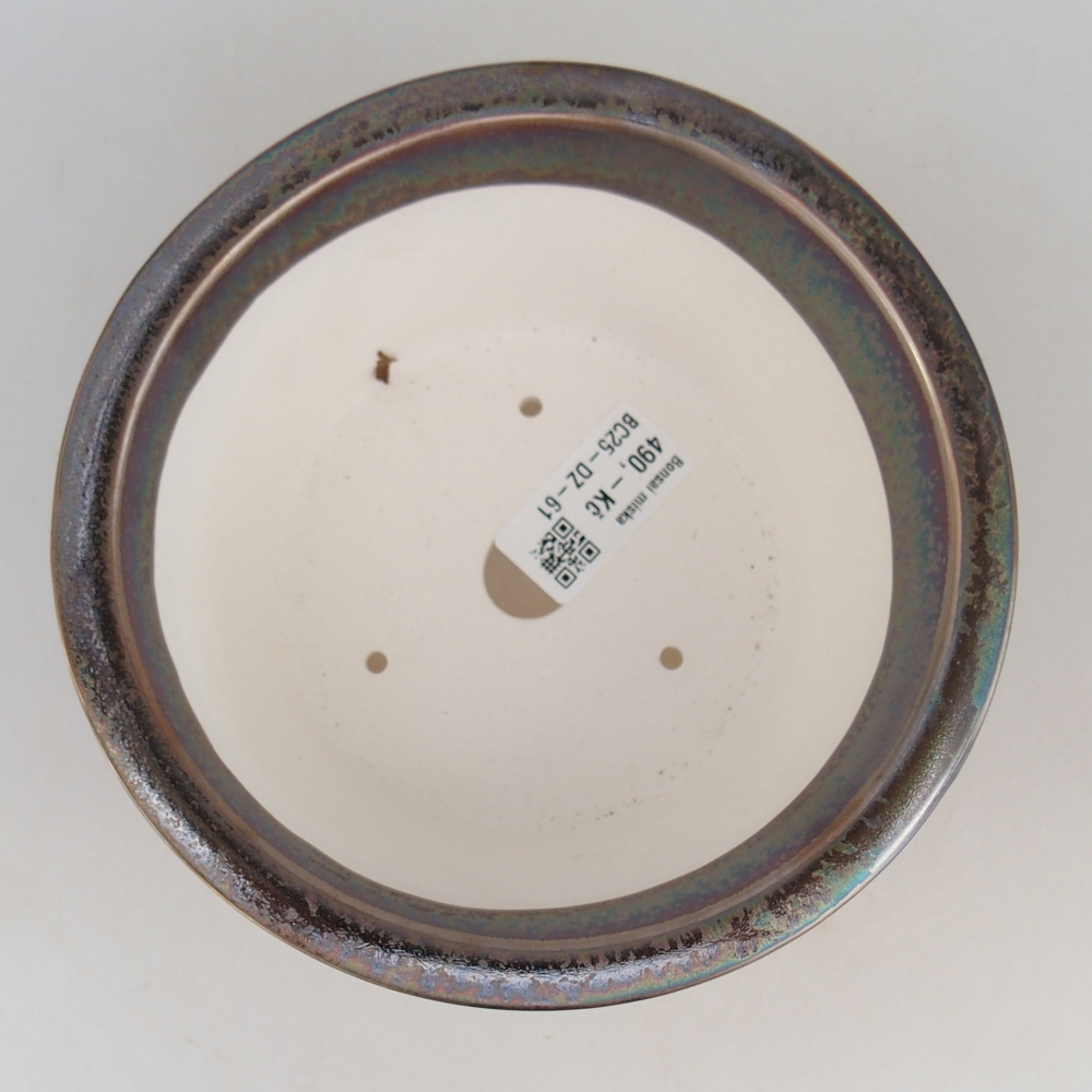 Ciotola bonsai in ceramica 16 x 16 x 8,5 cm, colore oro