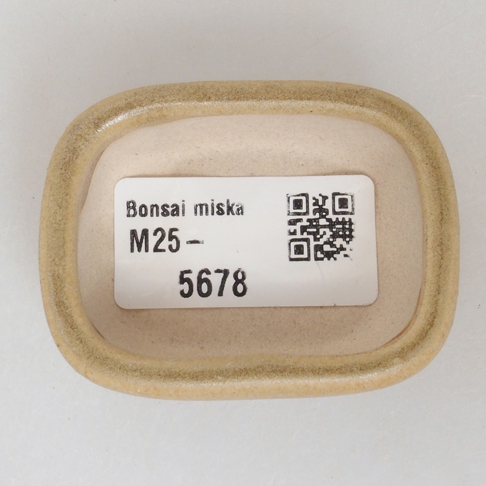 Ciotola per mini bonsai 5,5 x 4 x 2 cm, marrone