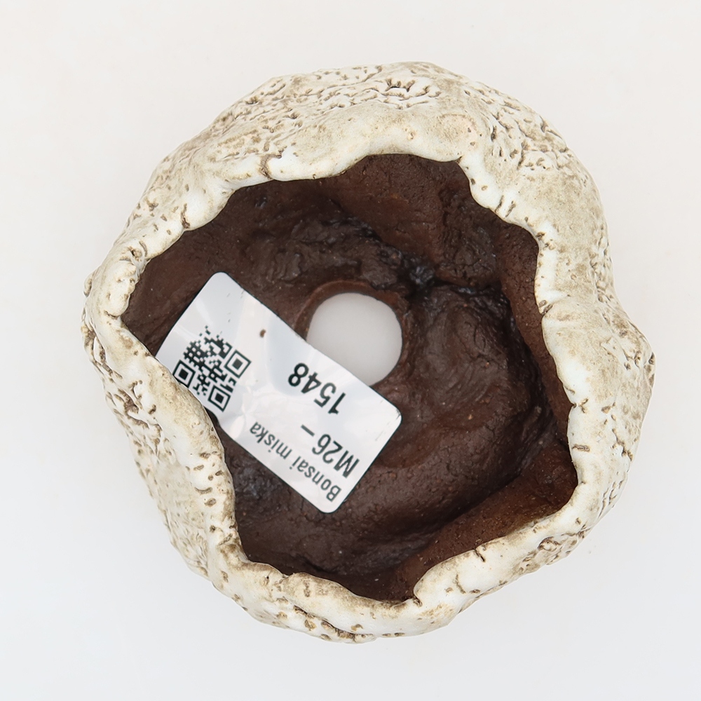 Conchiglia in ceramica  6 x 6 x 5 cm, colore marrone-bianco