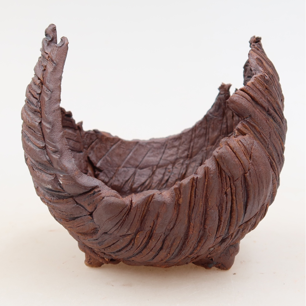 Guscio in ceramica  10 x 9 x 9 cm, colore marrone