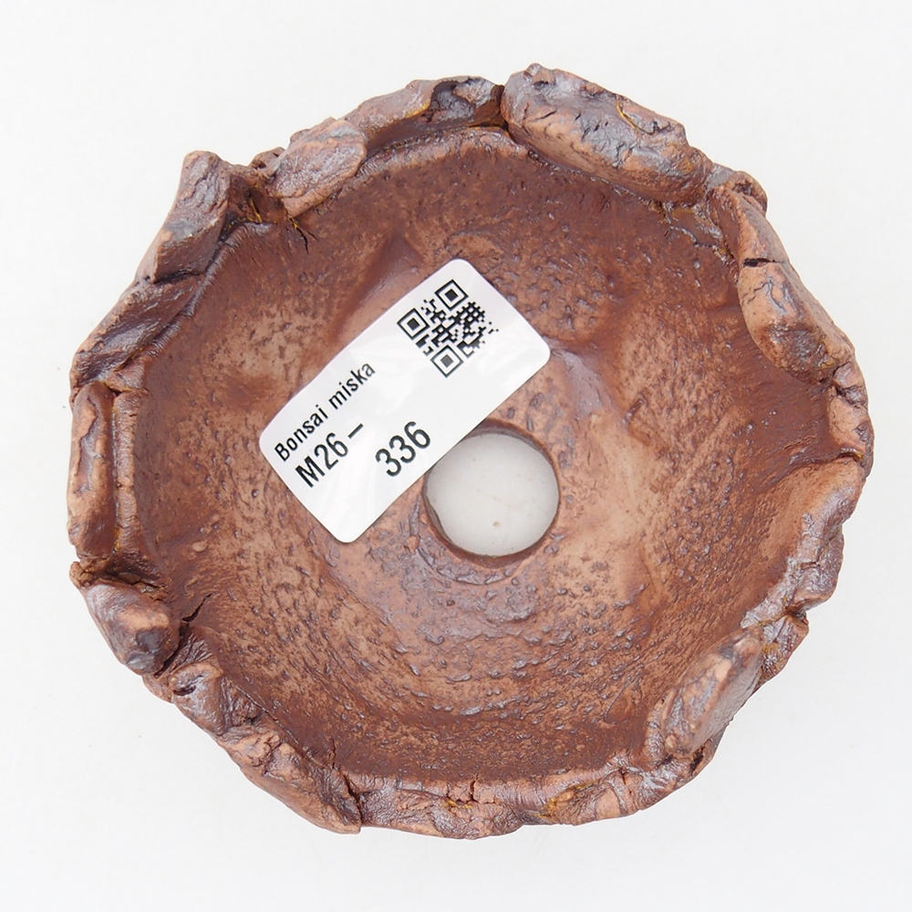 Conchiglia in ceramica 9 x 9 x 5,5 cm , colore marrone