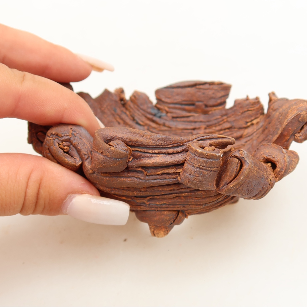 Guscio in ceramica  11 x 8,5 x 5 cm, colore marrone