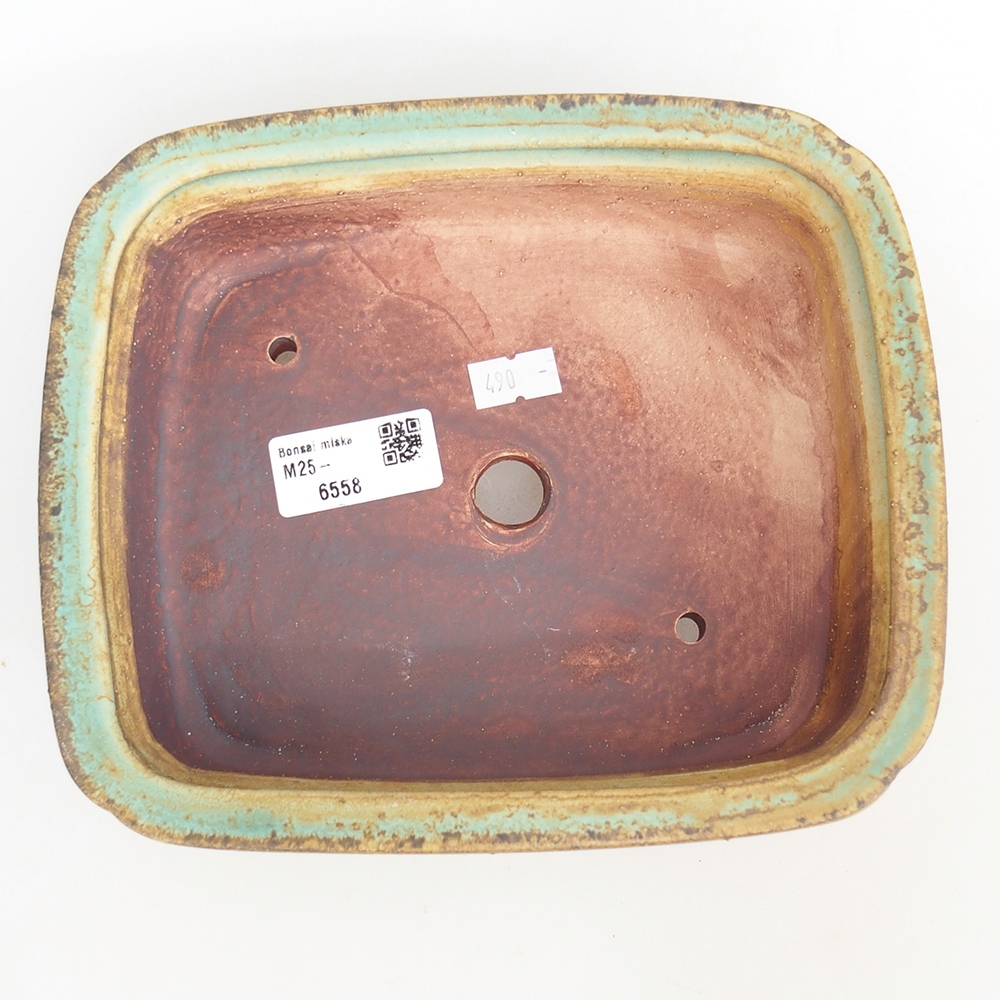 Ciotola per bonsai in ceramica 20 x 17 x 6 cm, verde