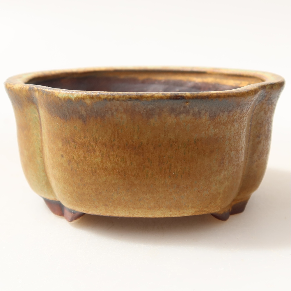 Ciotola bonsai in ceramica 8 x 7,5 x 3,5 cm, verde