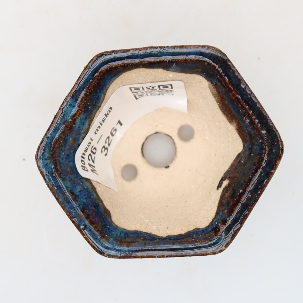 Vaso in ceramica per bonsai 5,5 x 5 x 3 cm, colore blu